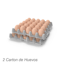 2 Carton de Huevos
