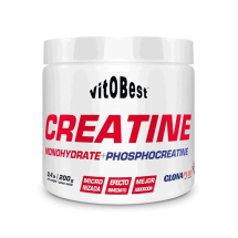 Creatina VITOBEST monohidratada 66S
