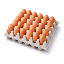 Carton de Huevos 30 Und 