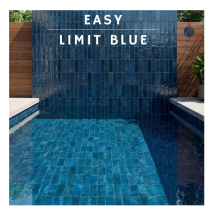Losa Easy limit blue 32x62.5 cm