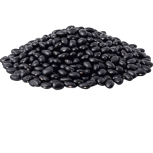 Frijol negro (libra)