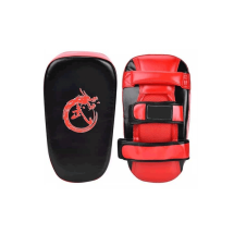Pateador Muay Thai