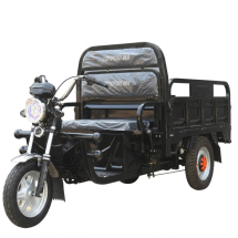 Triciclo Eléctrico NIPPON  T2S 