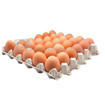 30 huevos de gallina cáscara marrón