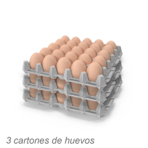 3 cartones de huevos