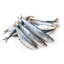 Sardinas congeladas, 1 kg