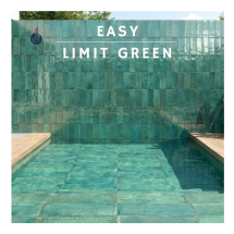 Losa Easy limit green 32x62.5 cm 