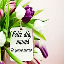 Para una madre especial
BLACK BRUIN 250ML CLASSIC BEBIDA ENERGIZANTE	2.00
RON HAVANA CLUB RITUAL RENOVADO BOT.	1.00
MUSLO DE POLLO 2KG ALIMPO	1.00
Aceituna Verde S/Hueso Bols. 70g Gourmet	2.00