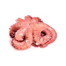 Pulpo Limpio 1 kg