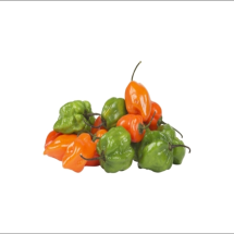 Aji cachucha 1 lb - aji cachucha 1 lb verdes y maduras