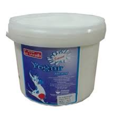 Yogurt Natural 4 LT