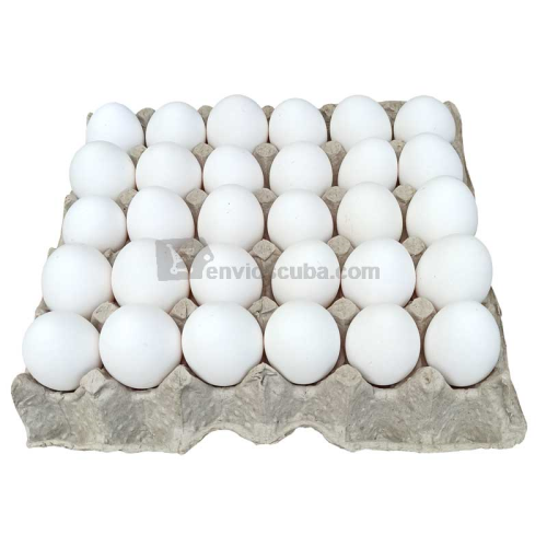 30 huevos blancos de gallina