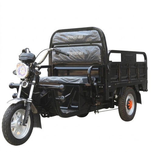 Triciclo Eléctrico NIPPON  T2S 