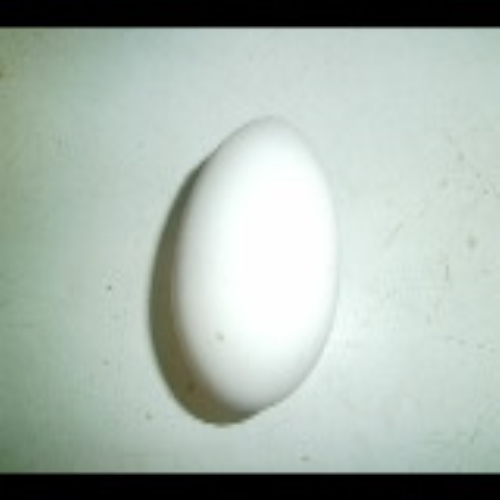 Huevo gallina clase A 48g UNO GEALAV NACIONAL