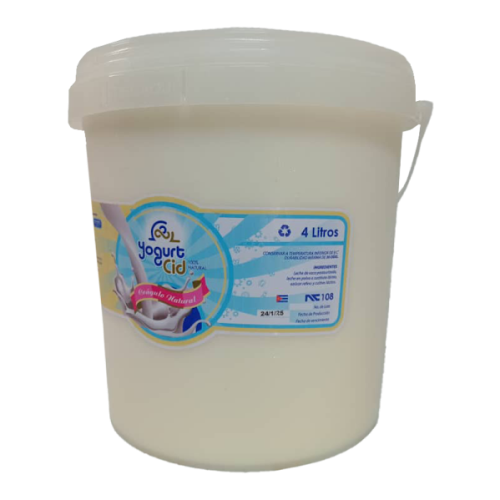 Yogurt Natural 4 lt 